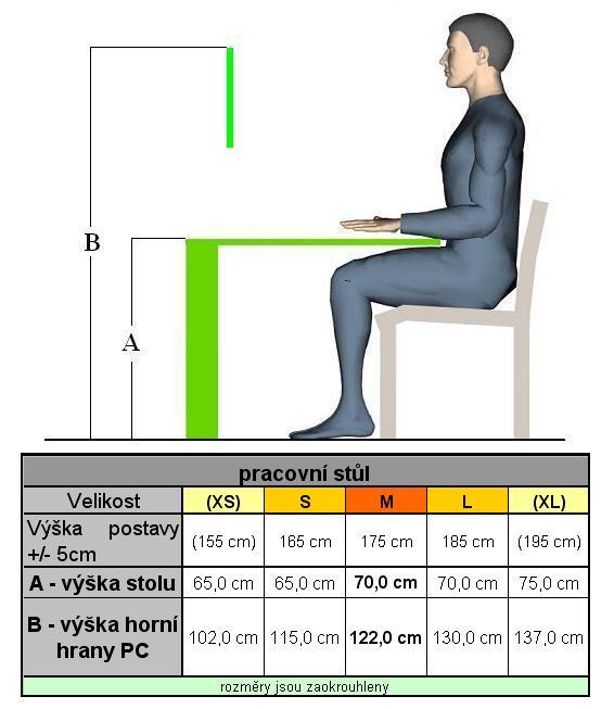 NIS - Nbytksk informan systm